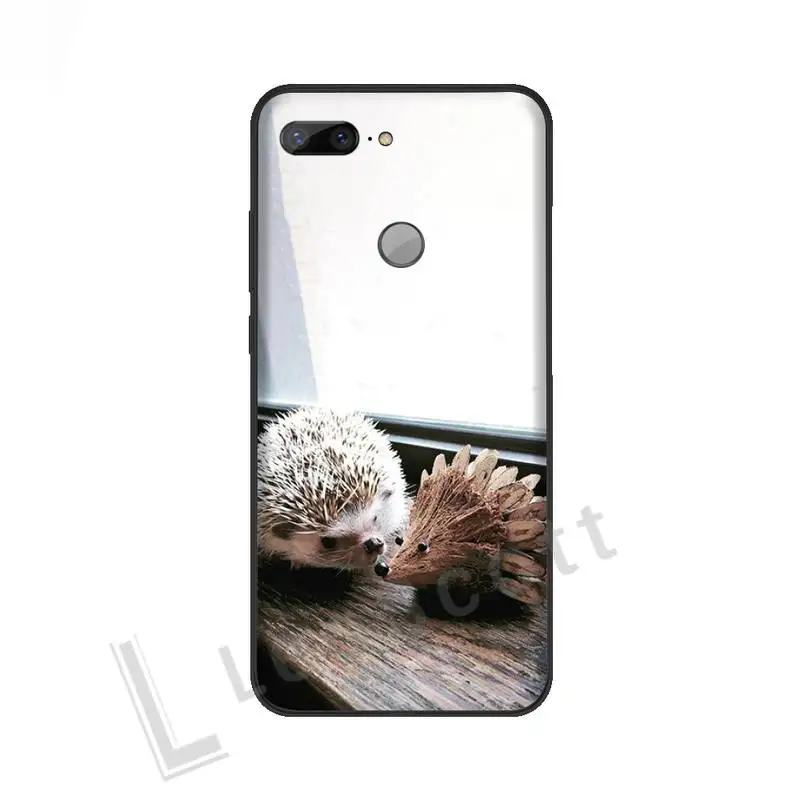 

Cute little hedgehog Phone Cases For Huawei NOVA 2 2i 2s 3i 4 4e 5 plus P10 lite 20 P20 pro honor10
