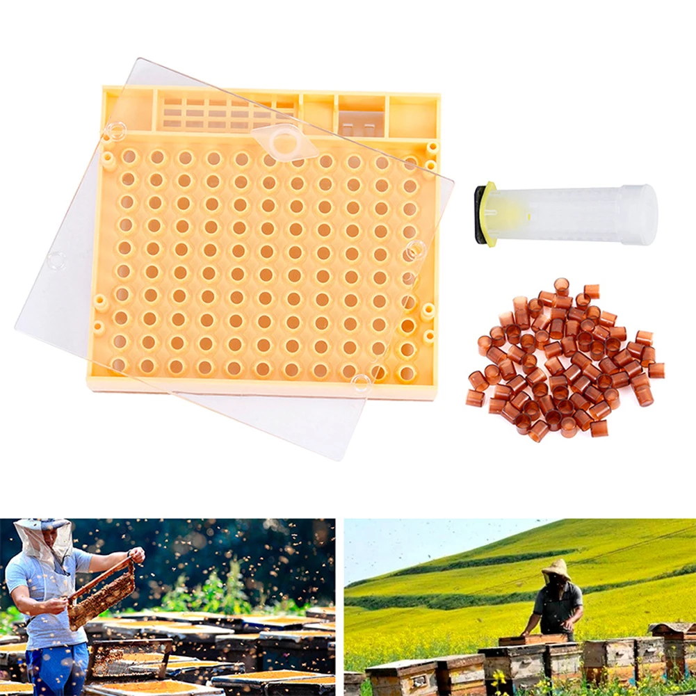 Набор инструментов для пчеловодства система выращивания маток коробка 110 шт.