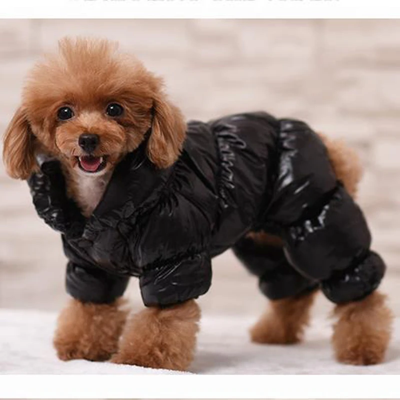 Водонепроницаемая одежда для собак пальто маленьких зимняя куртка щенков теплая