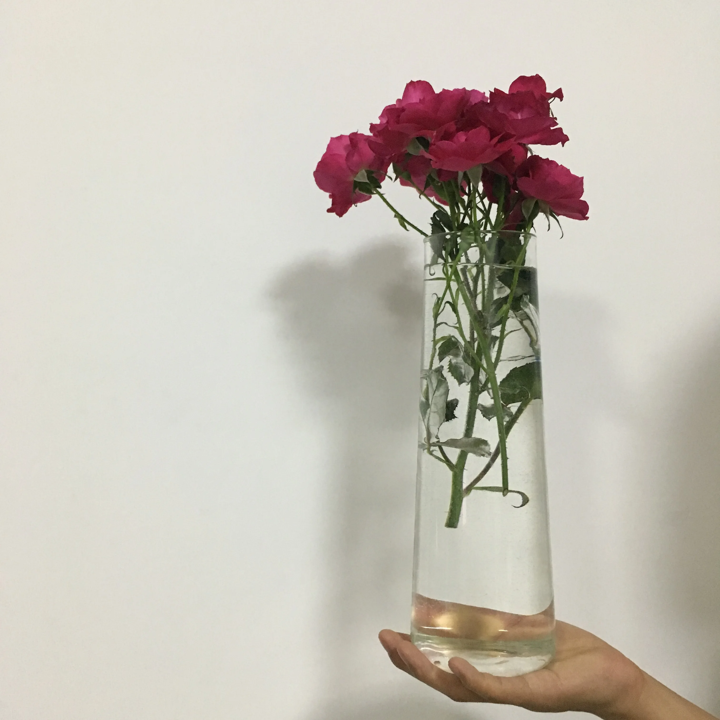 

1L 1.5L