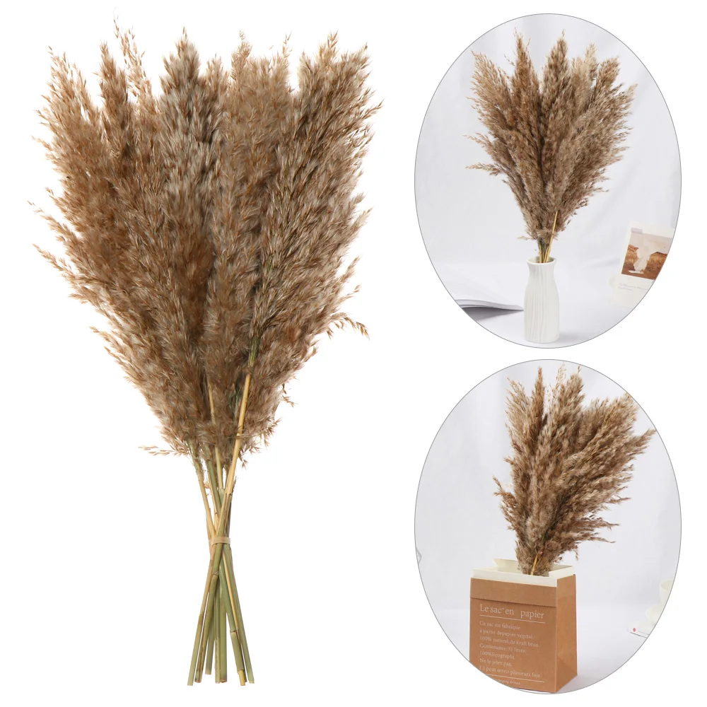 10PCS Natural Dried Bouquets Small Pampas Grass Real Flower Plant Stems Material Shooting Props Home Decoration | Дом и сад