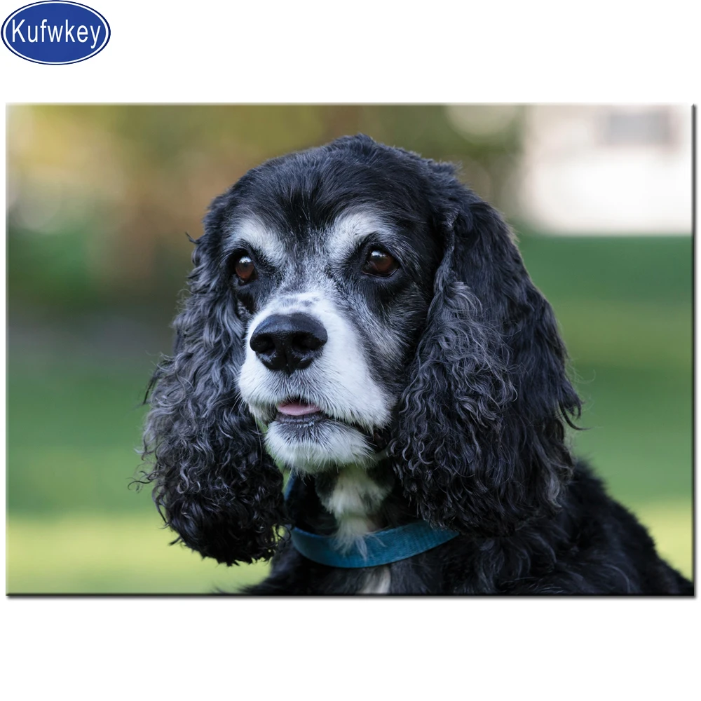 Алмазная вышивка квадратной формы стразы кокер-спаниель мозаика для вышивки