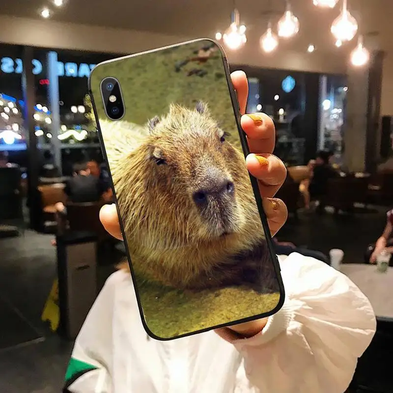 

Capybara cute animal Phone Case for iPhone 11 12 pro XS MAX 8 7 6 6S Plus X 5S SE 2020 XR