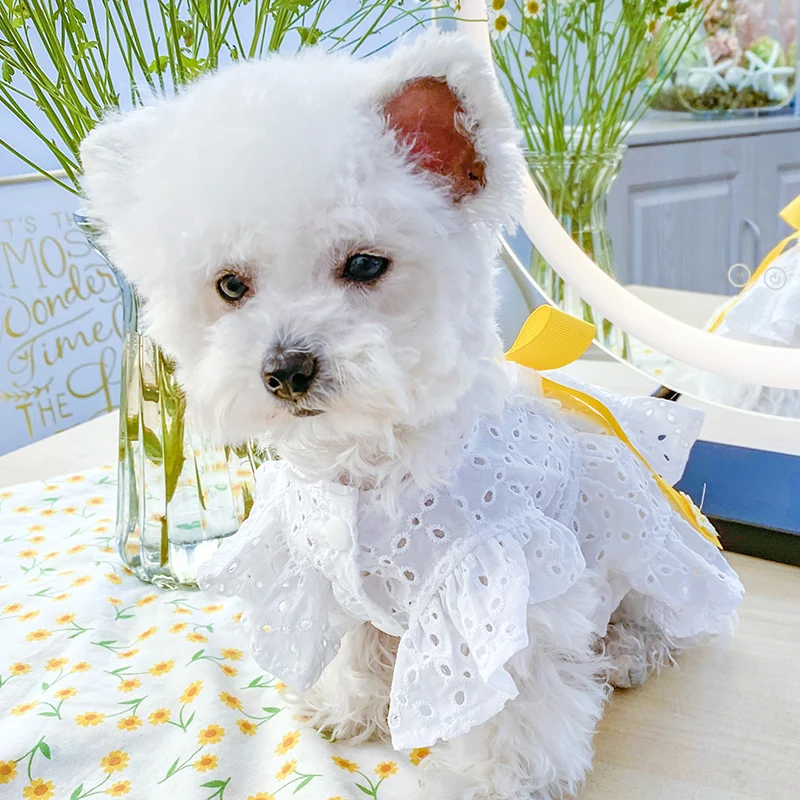 

PETCIRCLE Dog Clothes Daisy Flower Cutout Classic Dress For Small Dog Puppy Pet Cat Spring &Summer Pet Costume Pet Clothes Skirt