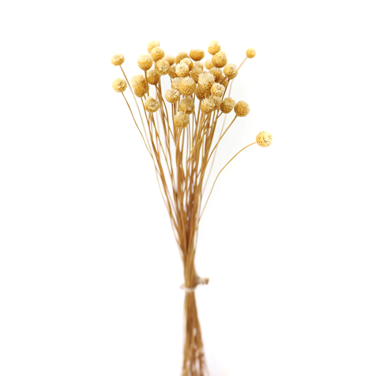 Украшение для дома ручной работы букет сушеных цветов реквизит фотографий декор