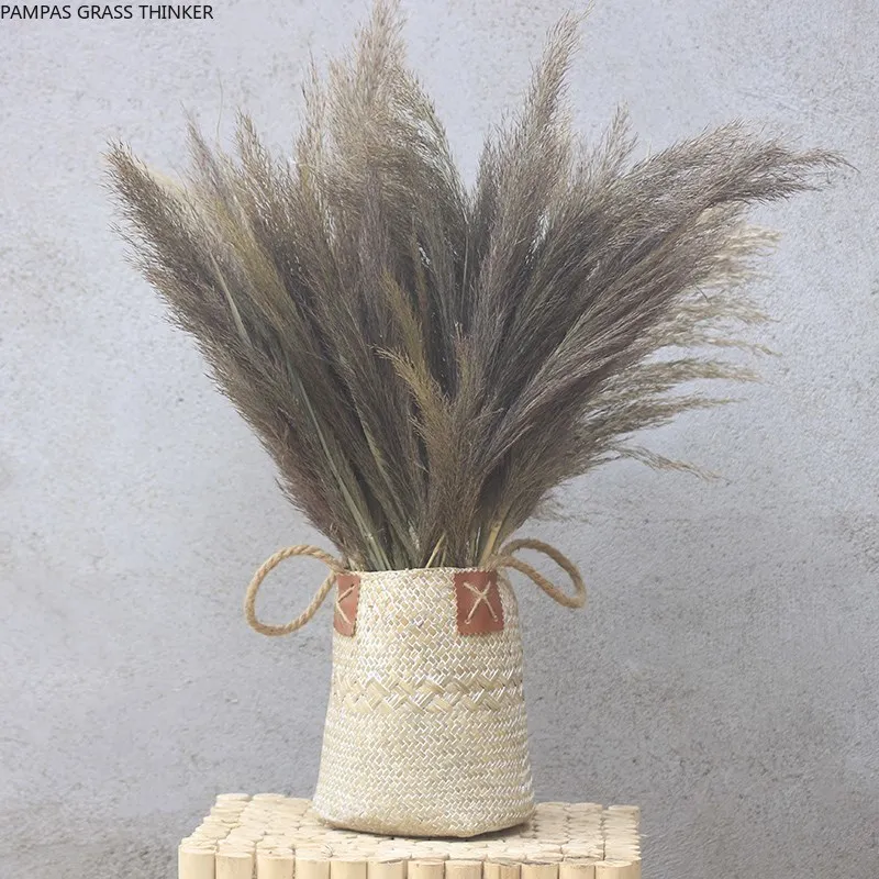 

Сушеные цветы пампасы, трава, чистые натуральные пампасы, Красивые палочки для дома, Свадебный декор, пампасы, трава, Цветочная связка, 20 шт.
