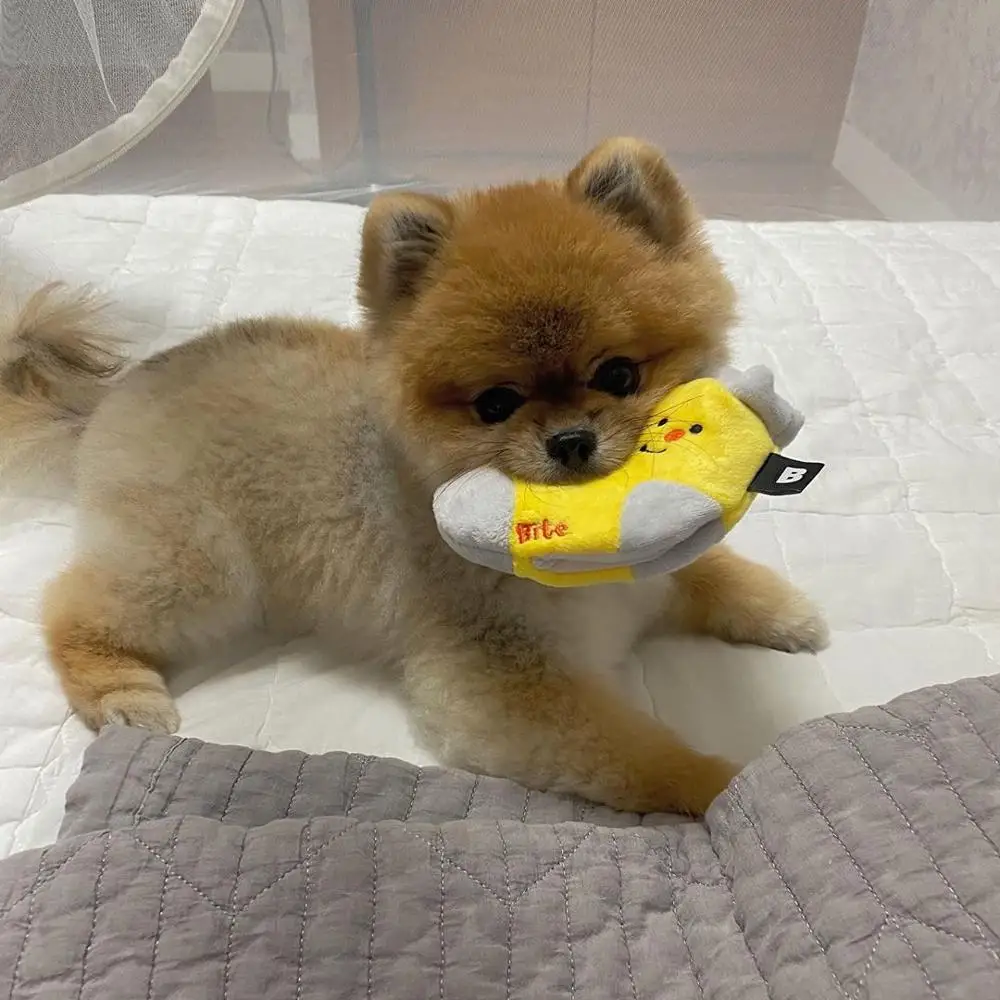 

Acrylic Cake Scraper Smoother Adjustable Fondant Spatulas Cake Edge Smoother Cream Decorating DIY Kitchen Cake Tool