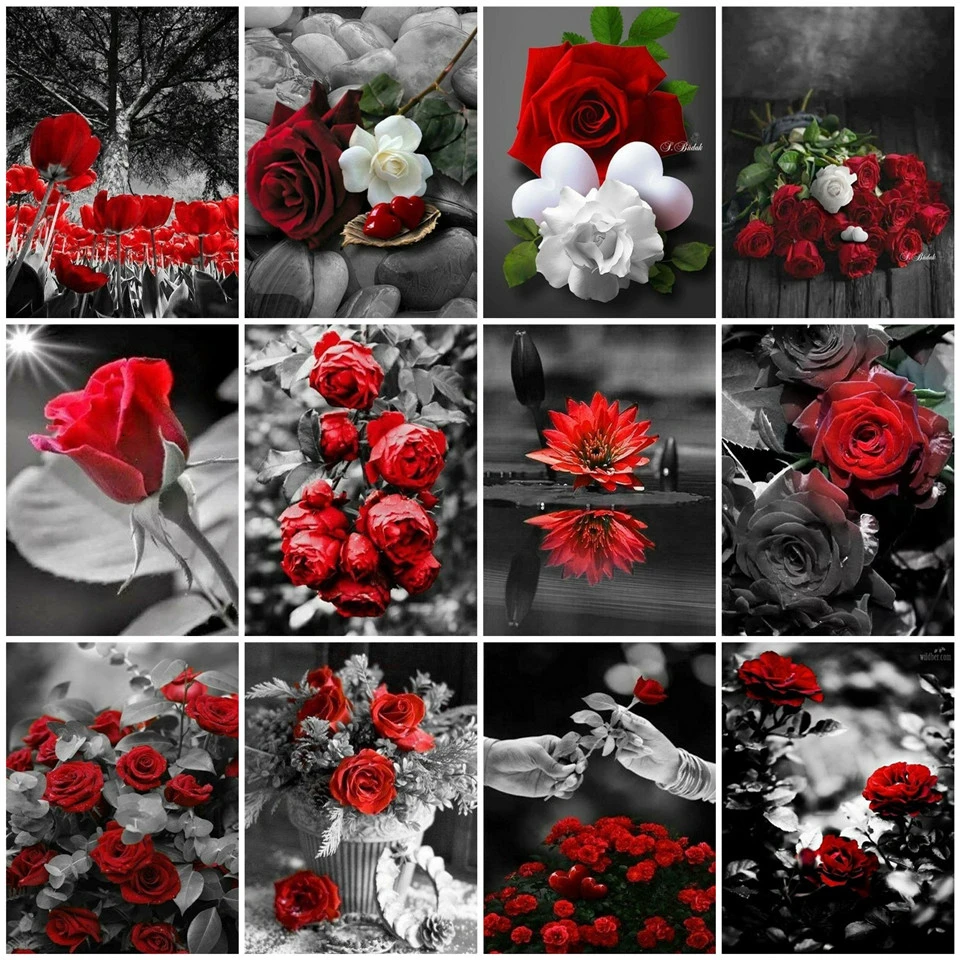 Набор для раскрашивания по номерам на холсте AZQSD Раскрашивание розой сделай сам