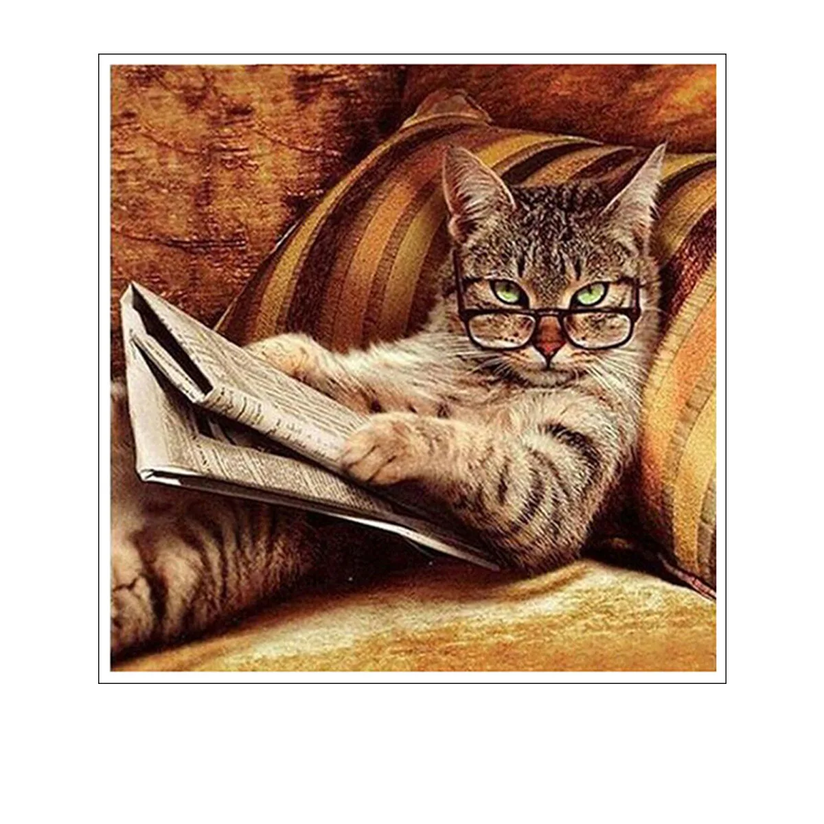 Милые кошки для чтения с очками и книгами современное домашнее настенное