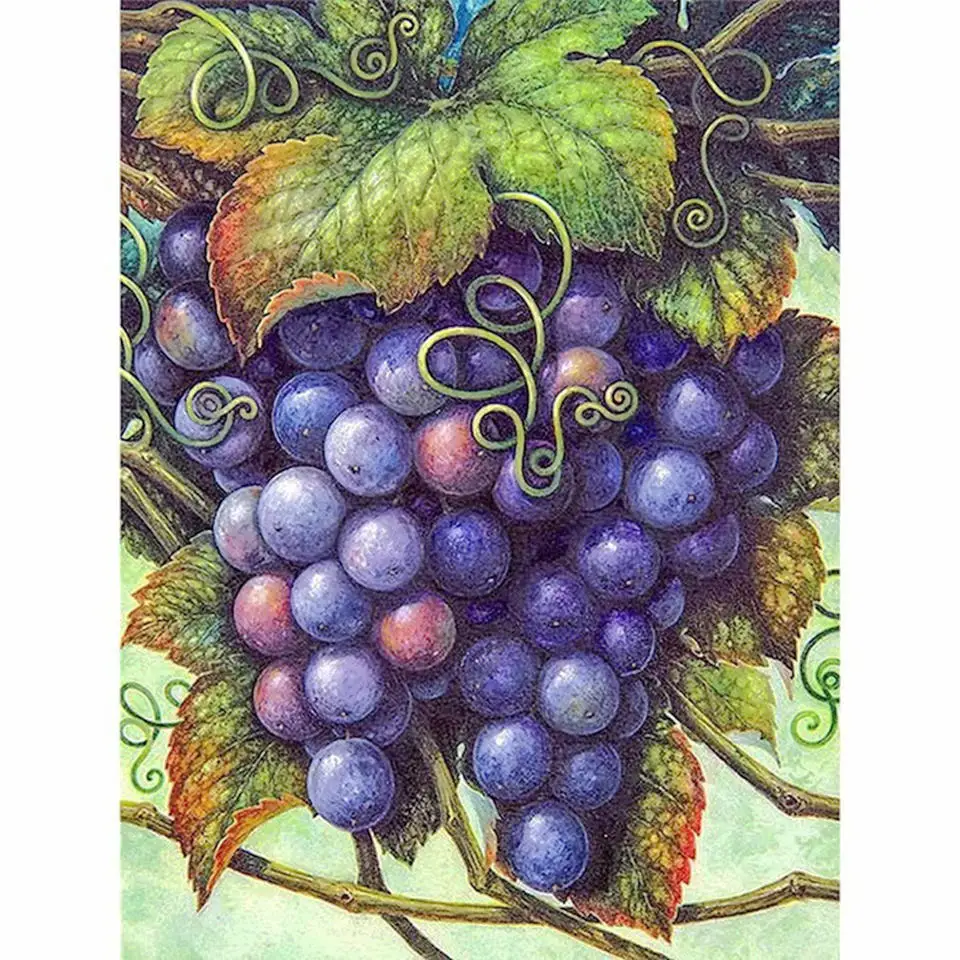 

5D DIY Embroidered Diamond Painting "Fruit Grape" Mosaic Full 3D Cross Sticker Kit Room Deco Art Crafts and Sewing Gifts mozaïek