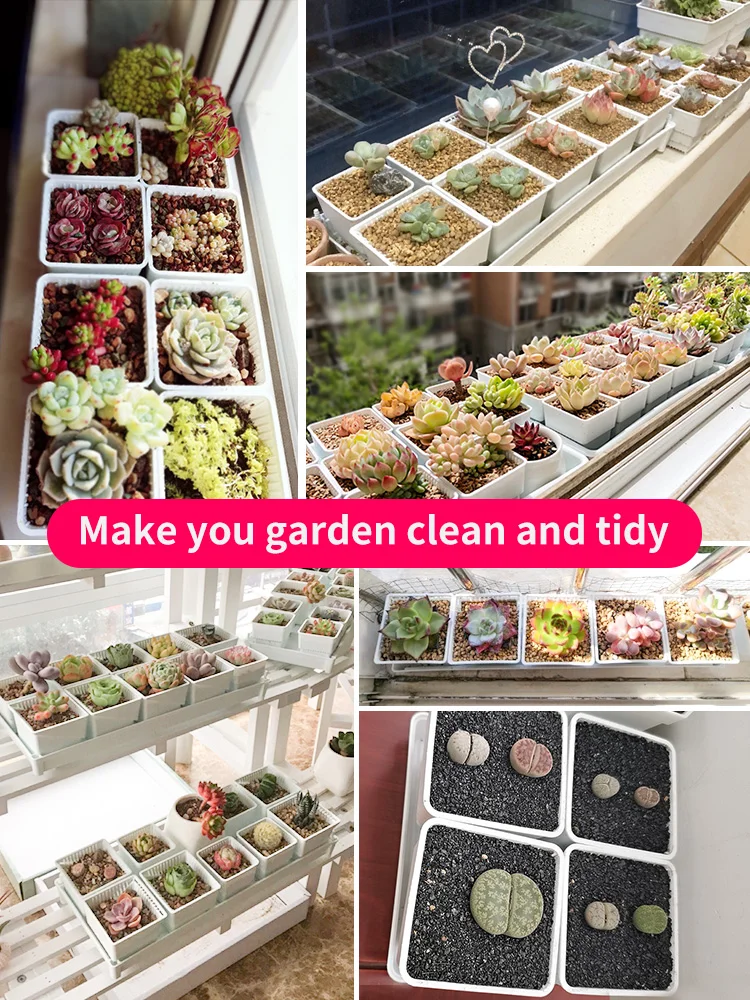 

Meshpot Plastic Succulent Planting Pots with Drainage Tray Cactus Planter Planting Window Box Flower Pot for Home Decoration