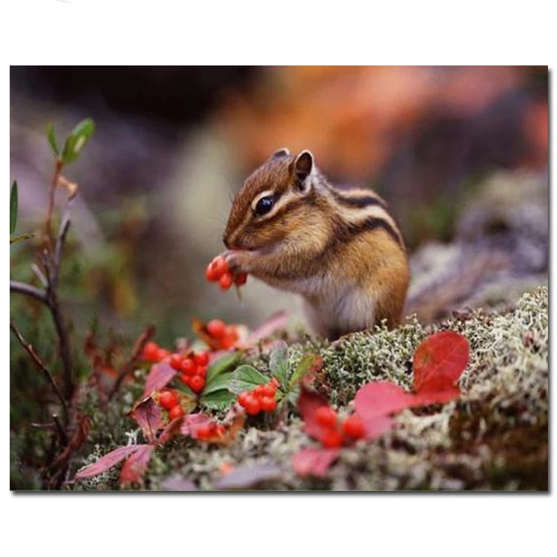 Горячая Распродажа Алмазная вышивка бурундуки 5d diy алмазная живопись полная