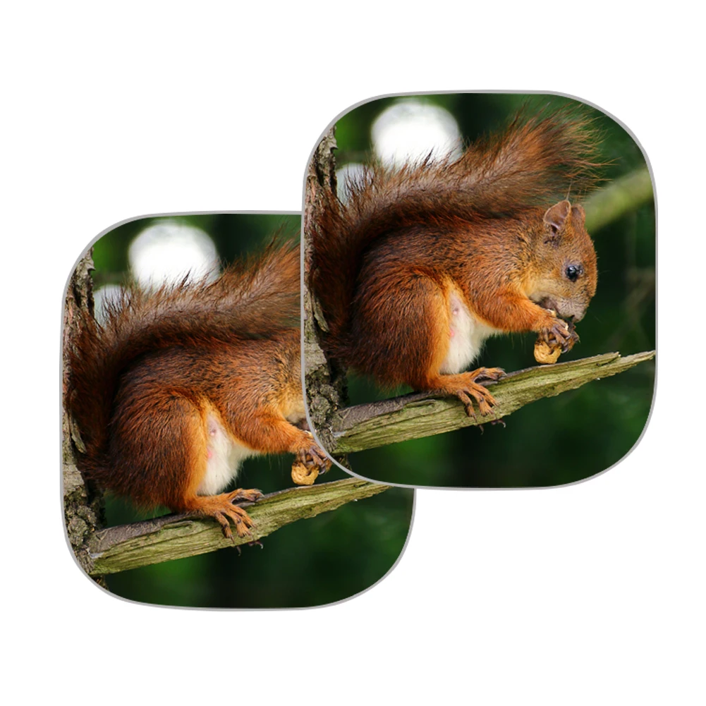 

Стильные универсальные чехлы для автомобиля с принтом в виде белки