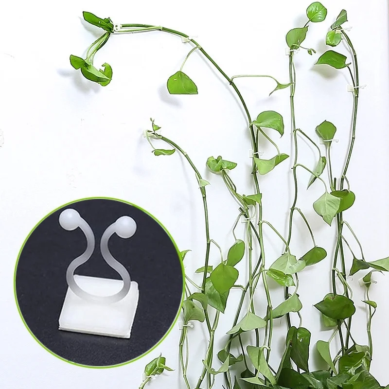 Зажим настенный ротанговый зажим для подъема растений фиксированная Пряжка 10 шт.