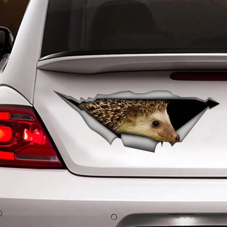 

Hengehog car sticker, car decal, funny sticker