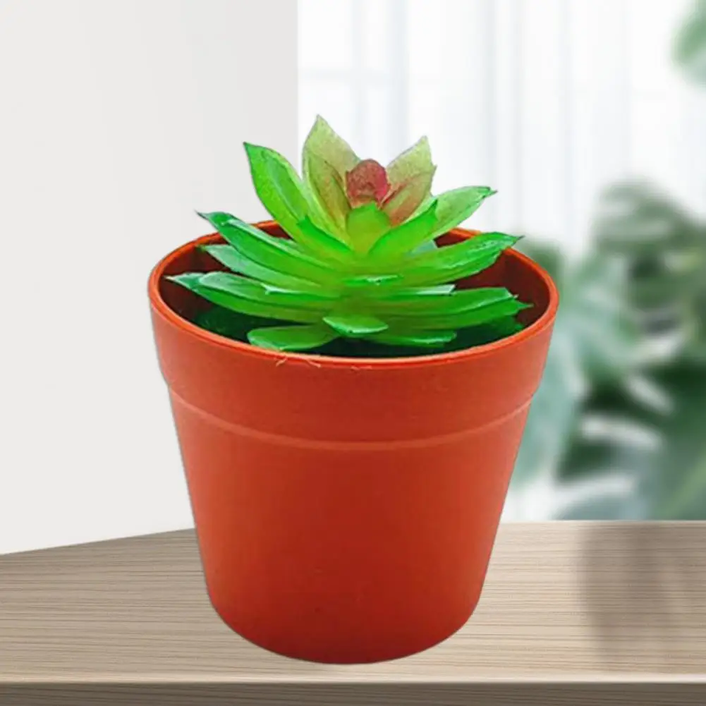 ПВХ отличные яркие мини Искусственные суккуленты Зеленые искусственные бонсай