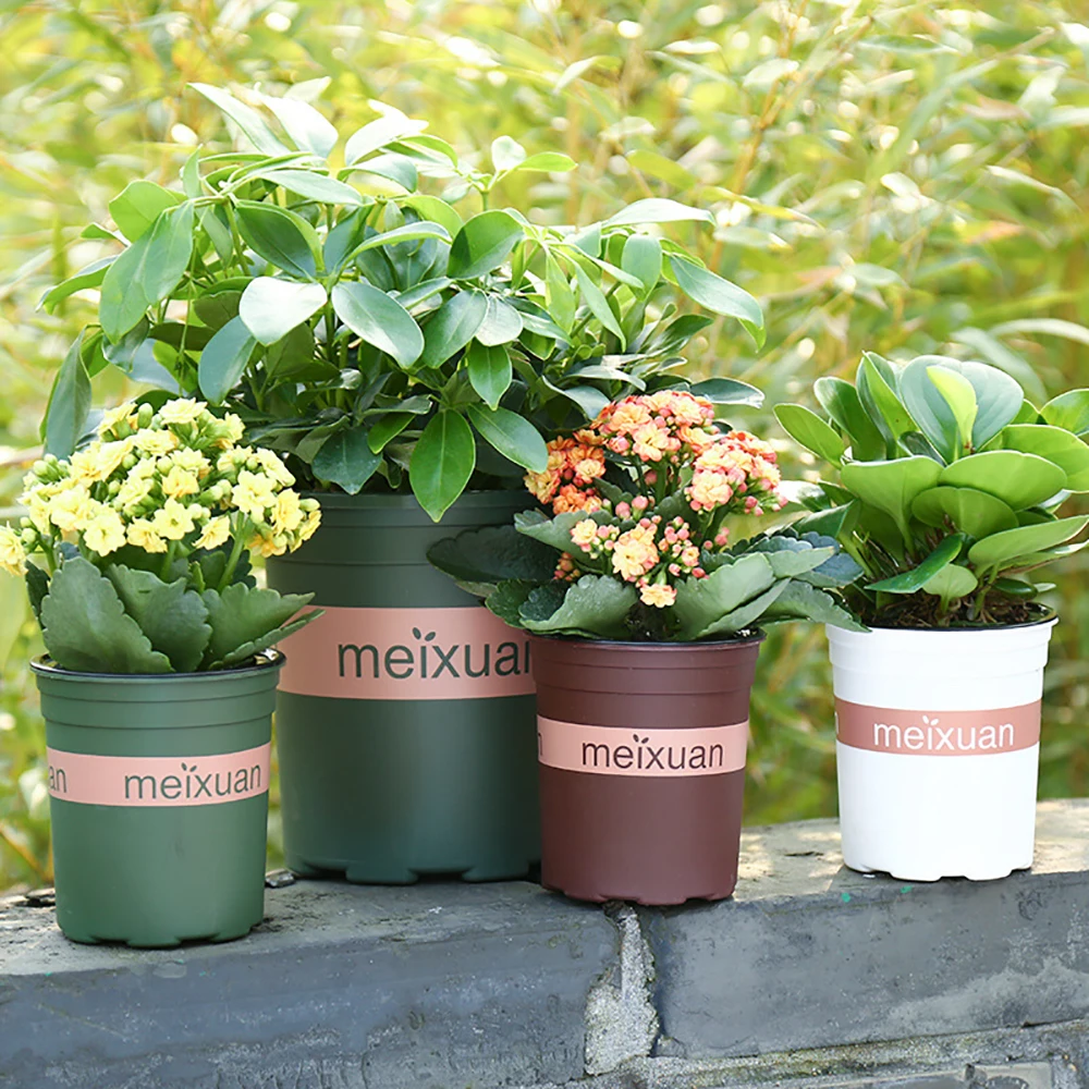 4 шт. утолщенные галлоновые цветочные горшки для дома сада офиса розы горшок