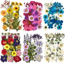 1 Pack Dried Flowers UV Resin Natural Flower Stickers Dry Beauty Decal For DIY Epoxy Resin Filling Jewelry Decoration