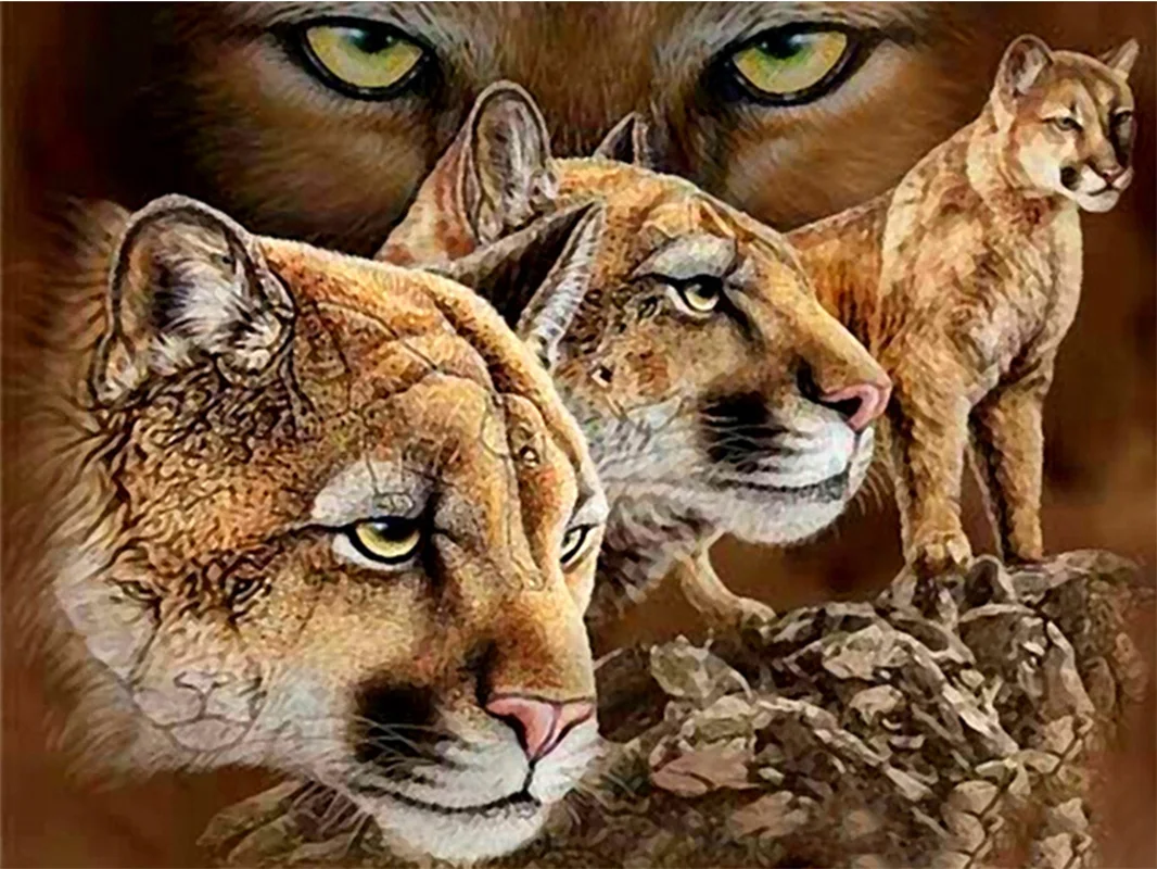 

5D DIY Diamond Painting Kits Lion Full Round With AB Drill Cross Stitch Embroidery Animal Rhinestones Pictures Home Decor Gift