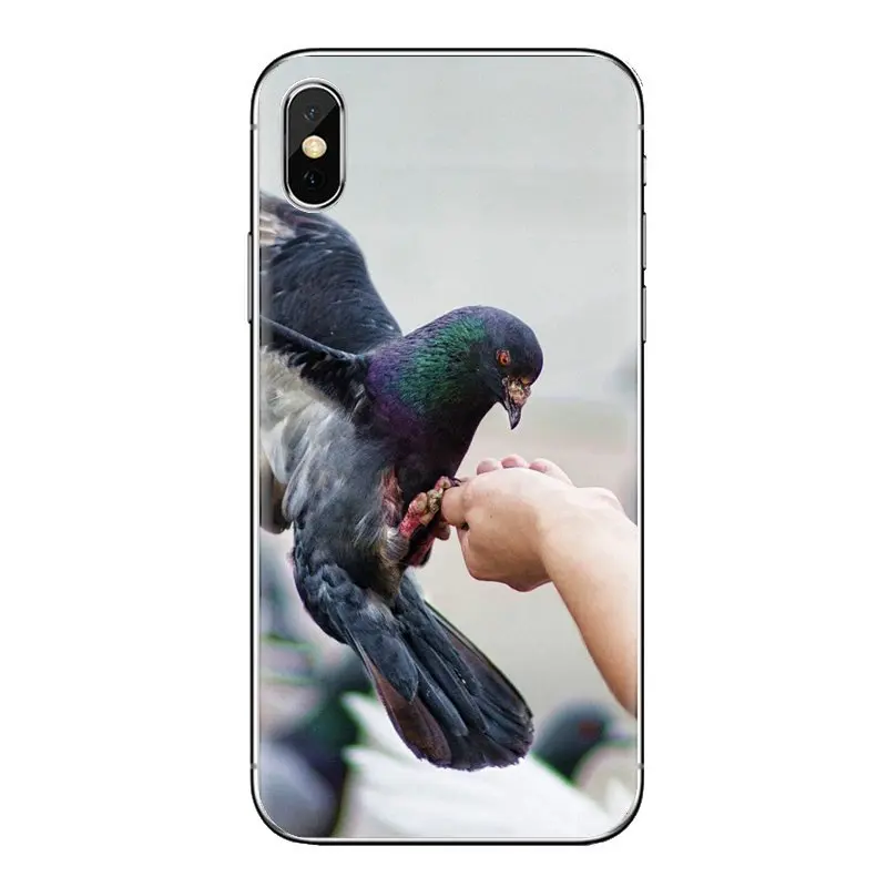 For iPod Touch Apple iPhone 4 4S 5 5S SE 5C 6 6S 7 8 X XR XS Plus MAX Pigeon Feeding beautiful bird Transparent TPU Cases Covers |