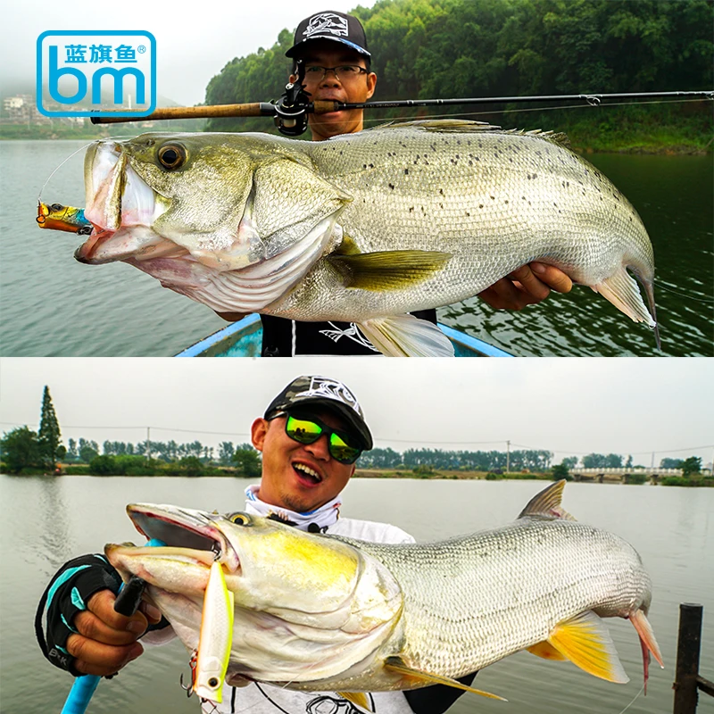 

BM Fishing Lures Popper Wobblers 3D Eyes Hard Fake Baits Crankbaits Isca 75mm/85mm/110mm 10g/16.5g/17g Artificial Fishing Tackle