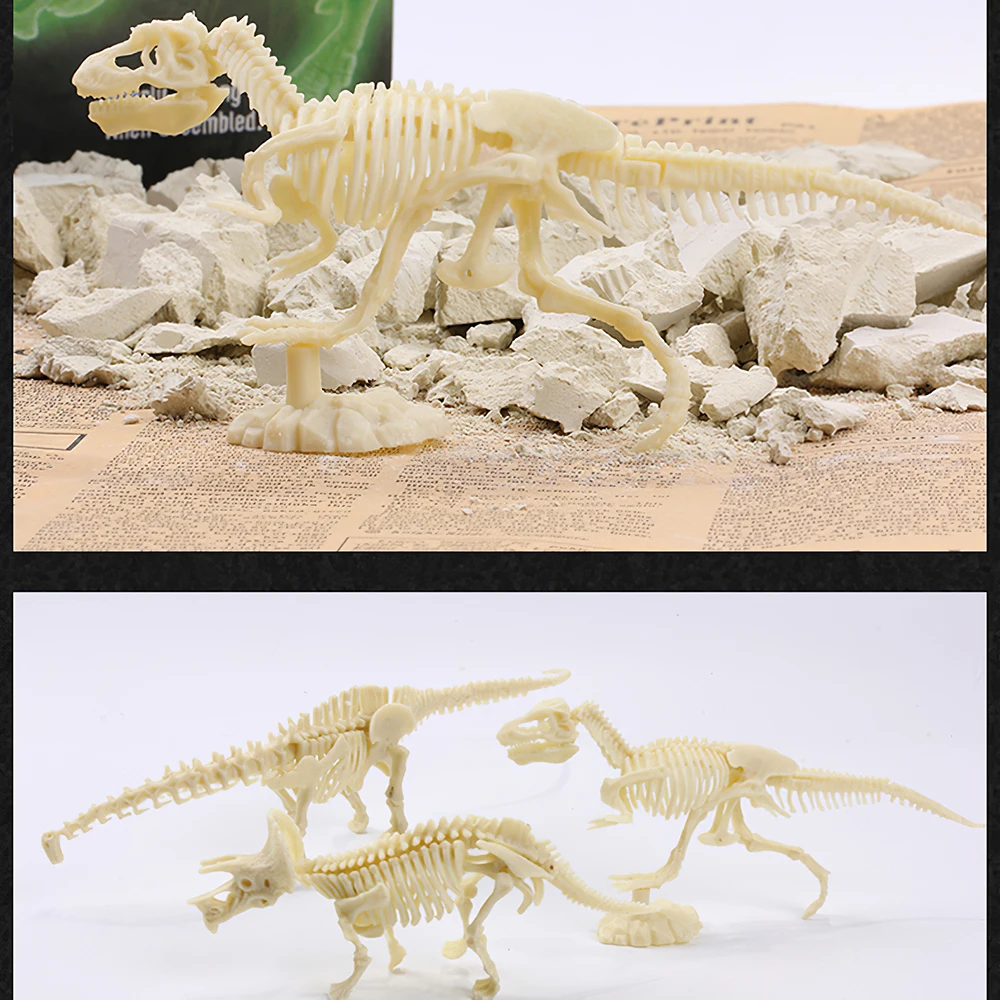 

Education Dinosaur Fossil Kit Assembly Dinosaur Digging Kit Kids Dinosaur Fossil Archaeological Excavation Model Archeology Toy