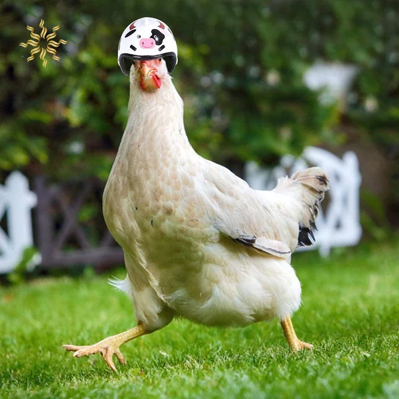 

1Pcs Chicken Helmet For Pets Funny Protective Chicken Helmet Hen Chicken Hard Hat Bird Hat Hood