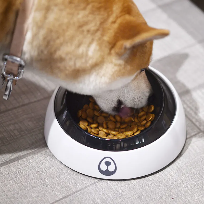 

15 Adjustable Pet Dog Cat Bowls Non Toxic Corrosion Resistant Durable Cat Bowl Removable Pet Feeder Food Holder