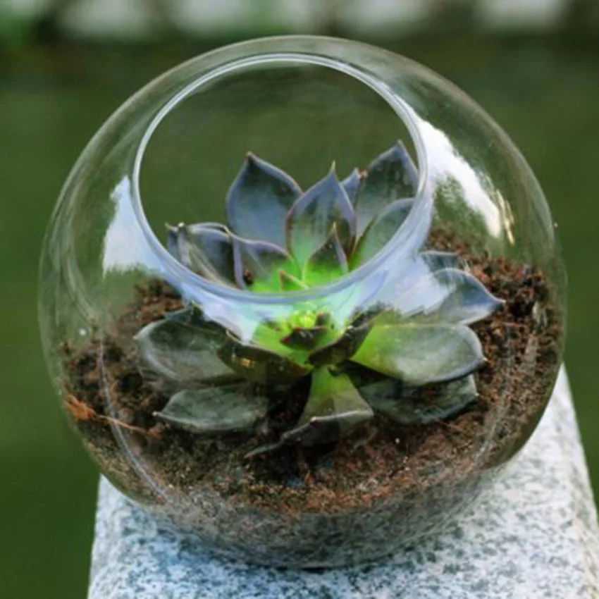 Стеклянная подвесная стеклянная ваза для цветов 1 шт. |