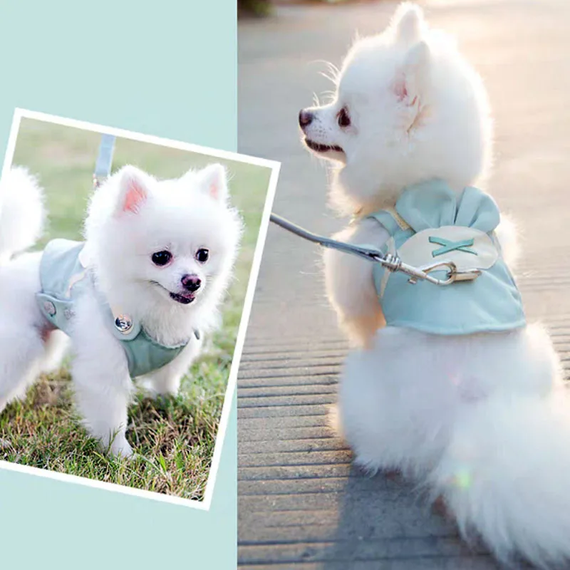 

Cat Dog Harness And Leash Set Breathable Vest-style Leash For Dogs Cute Cartoon Animal Princess Dress Dog Collar Dog Accessories