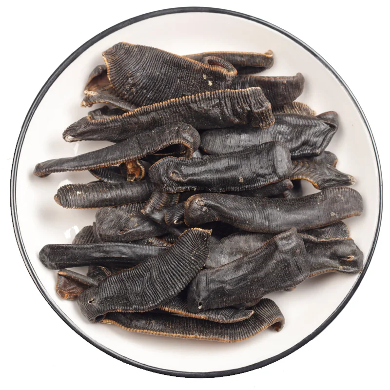 Leeches secos para el sol, sanguitos secos para la preservaci&oacute;n de la salud, t&oacute;nico para sangre, sanguitos-1