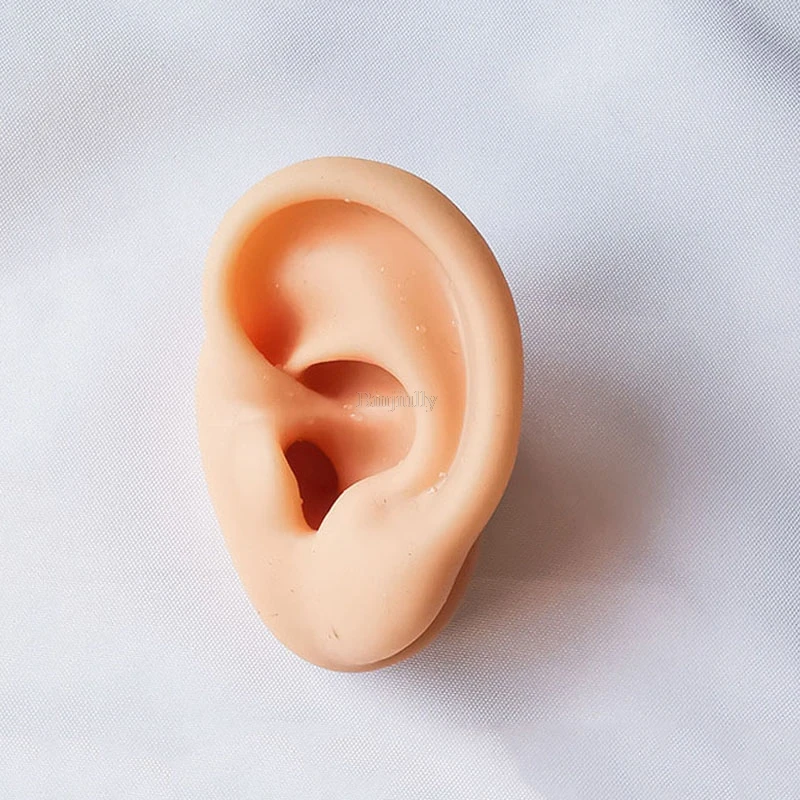 

Модель уха для иглоукалывания ушей Binjiully, модель уха для иглоукалывания в ушах 1:1, натуральный размер, игла для иглоукалывания ушей