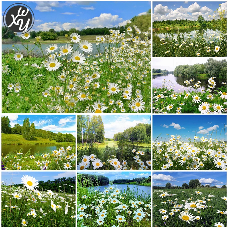 

WEIWEI DIY Diamond Painting Daisy Full Square Cross Stitch Flowers All Over The Mountains Mosaic Art Craft Embroidery for Decor