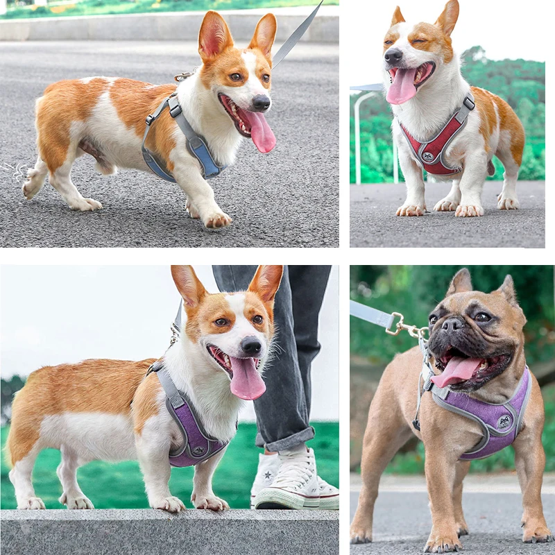 

New Pets Dogs Accessories Luminous Adjustable Harness for Dogs Puppy Vest Collar Leash French Bulldog Medium Small Large Dog