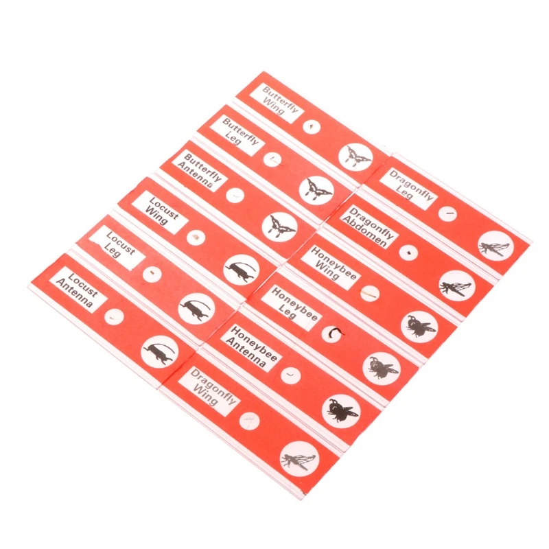 

2021 New 48 Pcs Prepared Microscope Slides Specimen Animals Insects Plants Flowers Sample