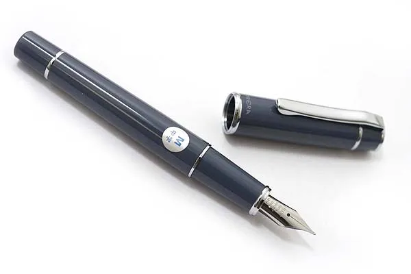 1 шт. pilot FPR-3SR Prera pen F-point/M-point канцелярский школьный офисный каллиграфическая ручка(ручка+ конвертер