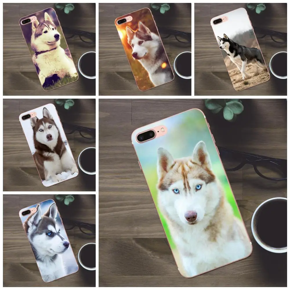Bixedx для Huawei G8 Honor 5C 5X 6 6X 7 8 9 Y5II Mate P7 P8 P9 P10 P20 Lite Plus 2017 роскошный чехол телефона хаски -