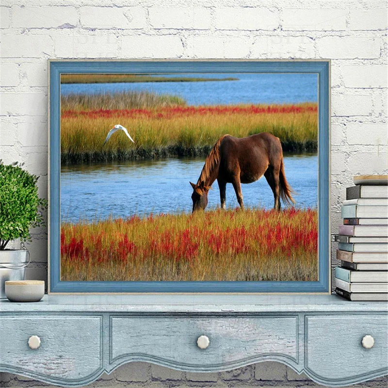 Зебра Осел 5D DIY квадратный круглый мозаичный наклейка Алмазная вышивка Травяная лужайка Клейкая картина Домашнее украшение Ручная работа Подарок.