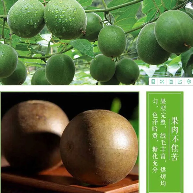 Momordica grosvenori Luo Han Guo 1 box / 9 grains to clear away heat and moisturize throat reduce fat beauty skin | Красота и