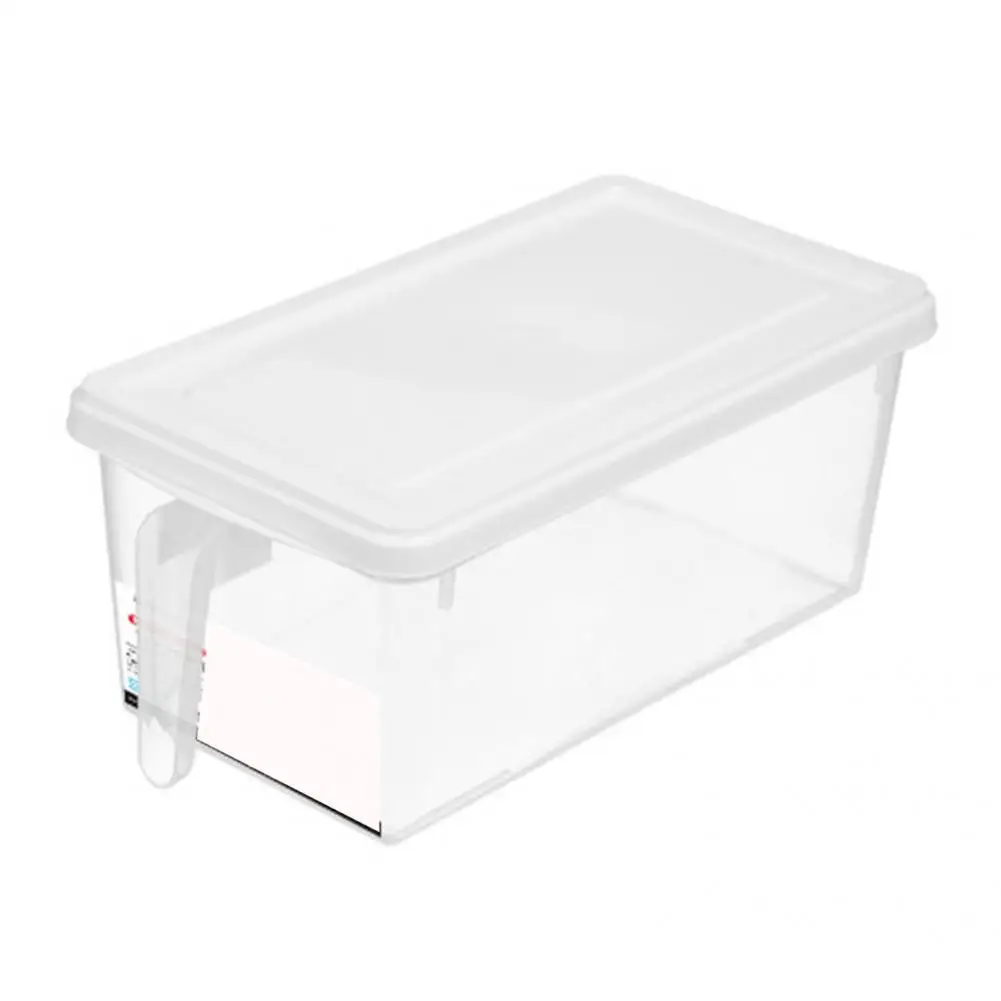 

Lightweight Useful Refrigerator Fruit Storage Box PP Food Storage Container Cold Resistant for Office