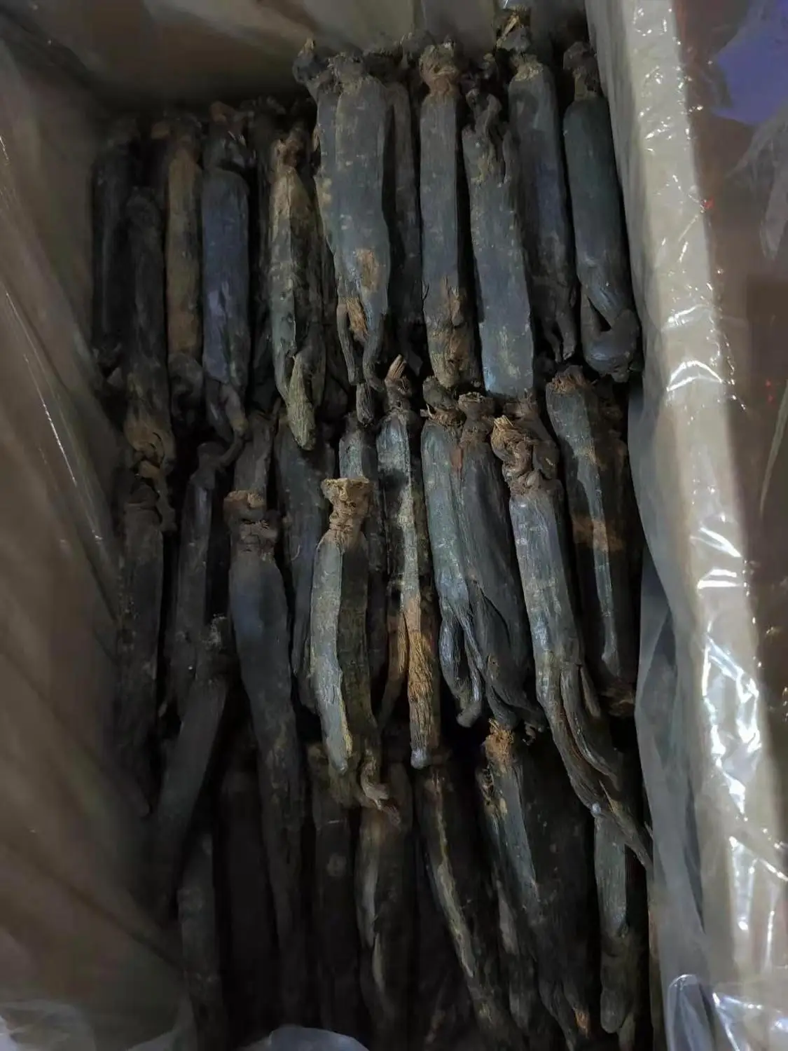 

Free shipment of high-quality ginseng for 6 years to enhance health and immunity