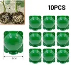 Приспособление для укоренения растений, 10 шт., мяч высокого давления, садовый контейнер для разведения саженцев, контейнер для питомника