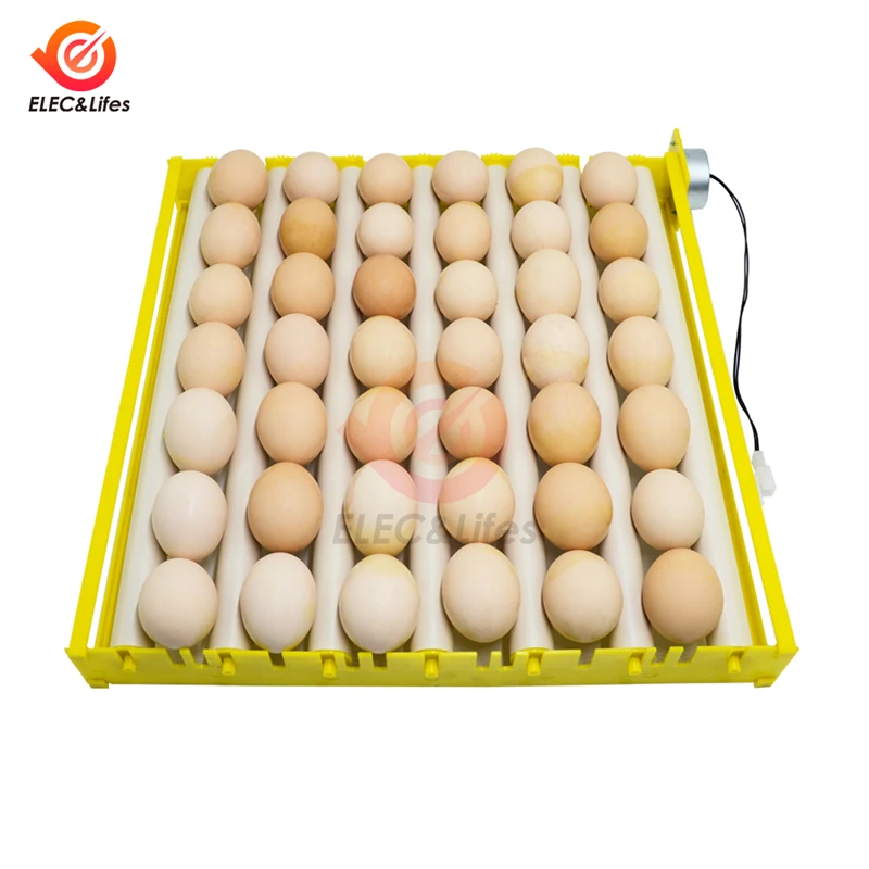 Автоматическая вращающаяся на 360 ° лотка для яиц поднос с рисунком лоток 42 110 В 220