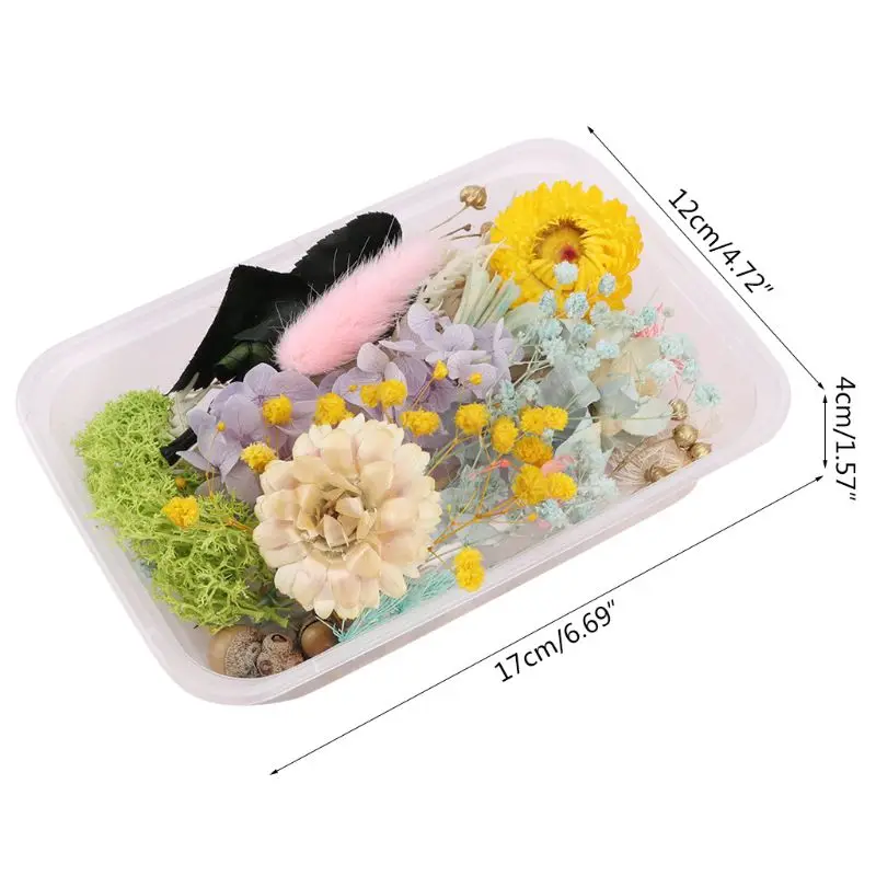 

1 Box Real Mix Dried Flowers for Resin Jewellery Dry Plants Pressed Flower Making Craft DIY Accessories Home Use WXTD