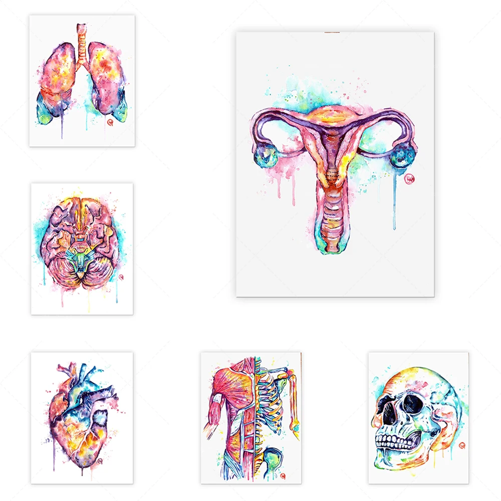 

Muscular Anatomy Art, Anatomical Watercolor Painting, Anatomy Art, Massage Therapist Gift, Physio Artwork, Med School grad,