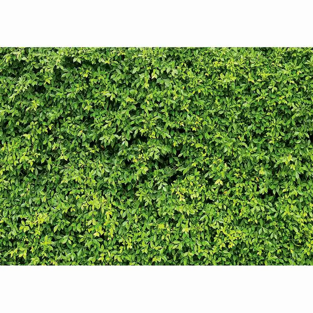 Allenjoy свадьба фон весенний цветок листья травы природа детского дня рождения с