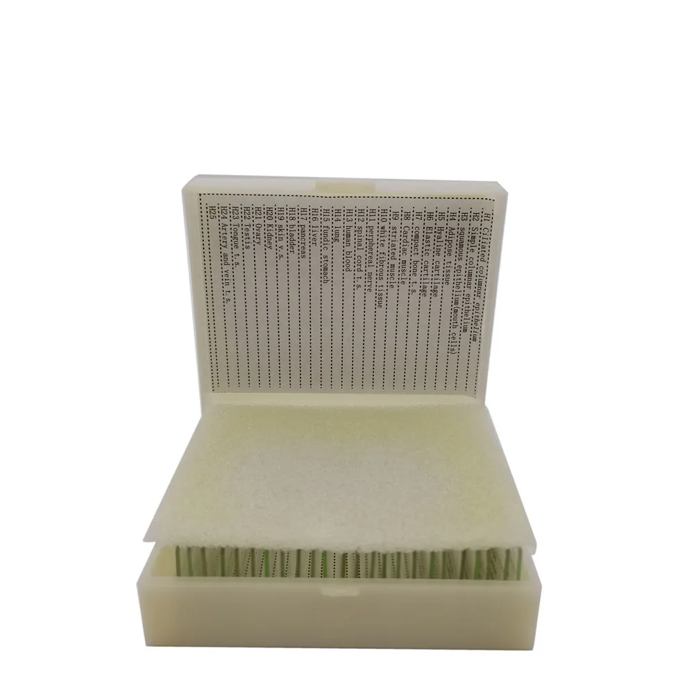 24 шт. специальные гистологические предметы | Канцтовары для офиса и дома