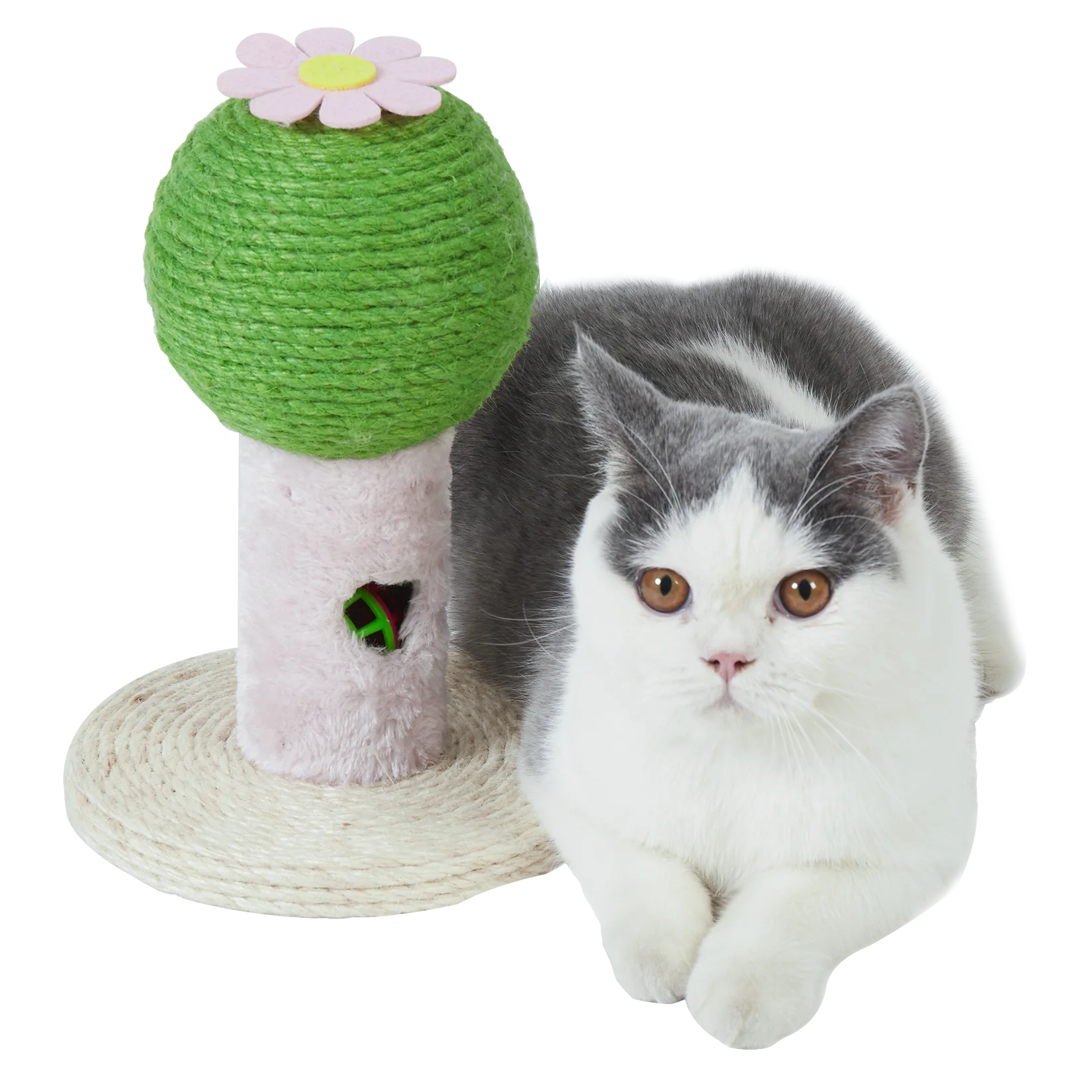 

Cactus Shape Cat Scratching Post Kitten Scratcher with Sisal Rope Toy with Sturdy Base Suitable for Kittens