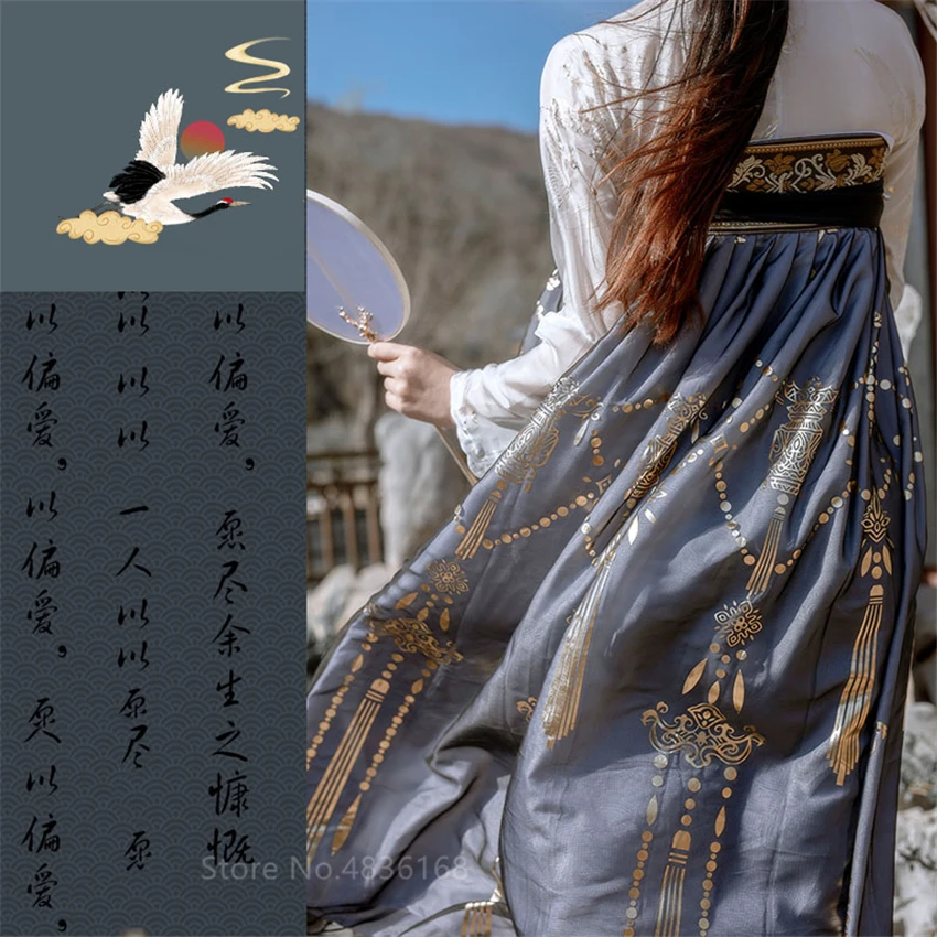 

Hanfu Traditional Chinese Costume Fairy Tang Suit Folk Dress Women Folk Dress Embroidery Ancient New Year Clothes Dance Robe