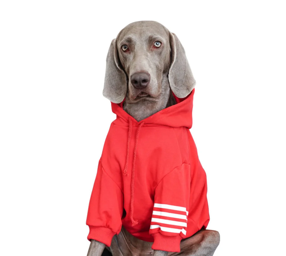 

Cat Clothing Autumn Winter Pet Clothes Sweater For Small Dogs Cats